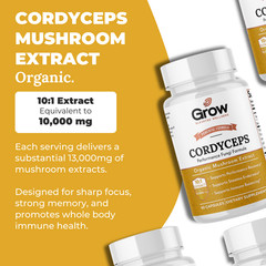 Cordyceps Mushroom Extract Capsules – 10:1 Concentrated Formula – 60 Capsules