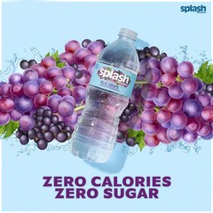 Splash Refresher Acai Grape Flavored Water, 16.9 Fl Oz, Plastic Bottle Pack of 1