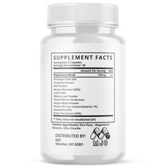 (2 Pack) Renu Glyco Advanced Support Blood Supplement RenuGlyco 120 Capsules