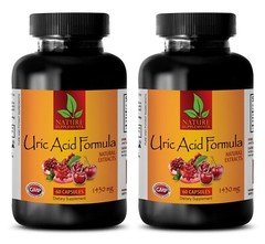 URIC ACID COMPLEX – diuretic herbs for water retention – digestion fiber 2 B