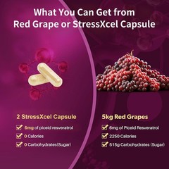 StressXcel Red Grape Extract 400mg and Resveratrol Supplement 120 Veggie Capsule