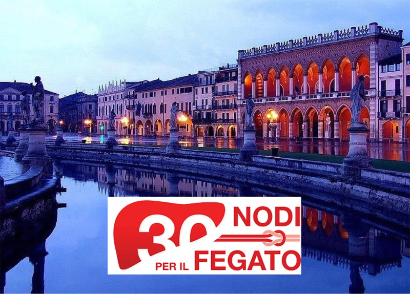 30 anni di Trapianti di fegato a Padova - 30 Nodi per il fegato